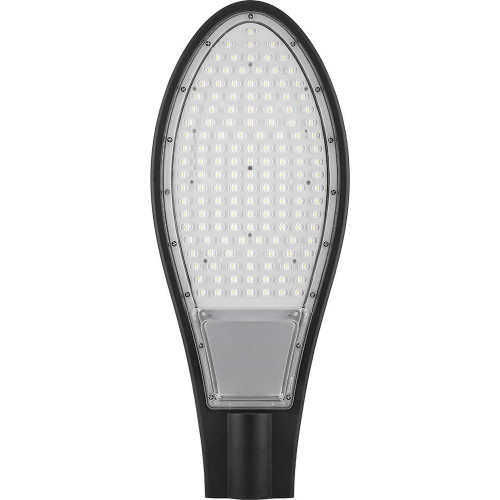 Уличный светодиодный светильник 30LED*30W  AC230V/ 50Hz цвет черный (IP65), SP2925