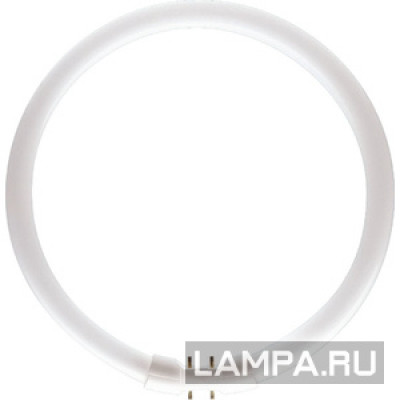 Лампа люминесцентная Osram FC 22 W/840 Круговая 