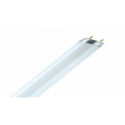 Лампа люминесцентная для продуктов G13 T8 58Вт 76 1500мм 2850Лм Osram Natura (10)