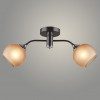 Люстра N5965/2 COFFEE+CR кофе/хром 2x40W E27 d540 h225, QH23