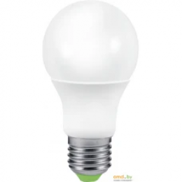 Лампа светодиодная LED-A65-standard 24Вт 230В Е27 6500К 2160Лм ASD (кр.10шт)
